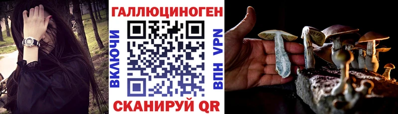 Псилоцибиновые грибы Psilocybe  Купить  Весьегонск 
